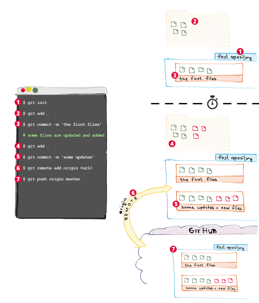 Git & GitHub Basics Cheatsheet – Self-Taught Coders